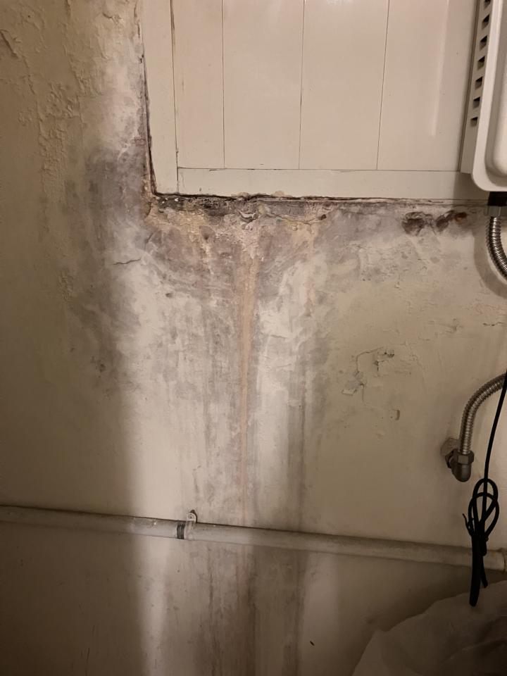 壁癌處理案件圖片