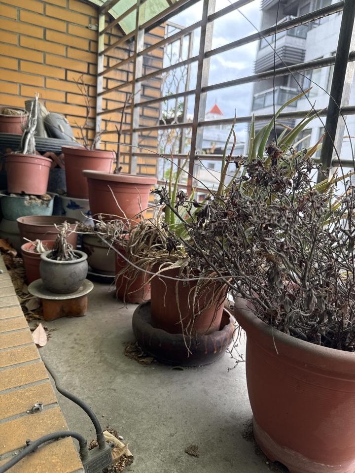 大型垃圾回收案件圖片