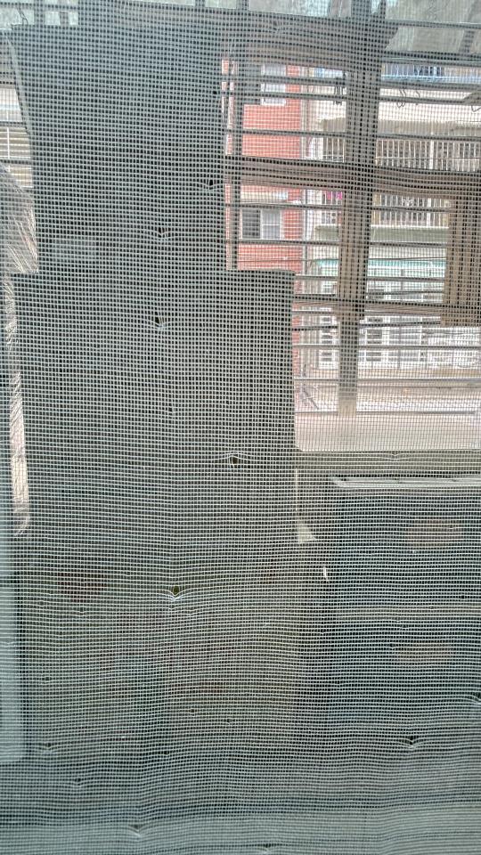 陽台紗網安裝案件圖片