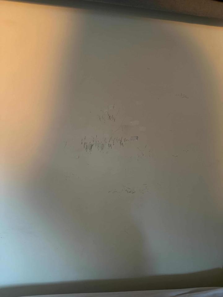 油漆工程案件圖片