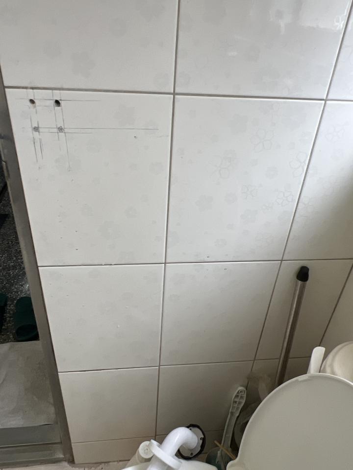 浴室扶手安裝案件圖片