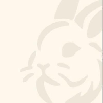 提供舞台車服務的專家毛毛黑創工作室