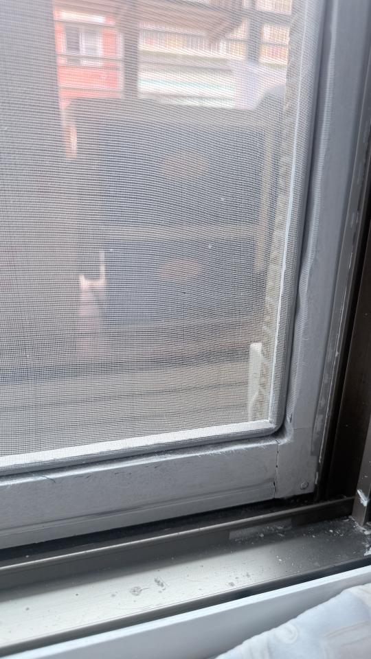 陽台紗網安裝案件圖片
