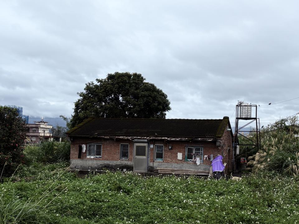 屋瓦翻修案件圖片