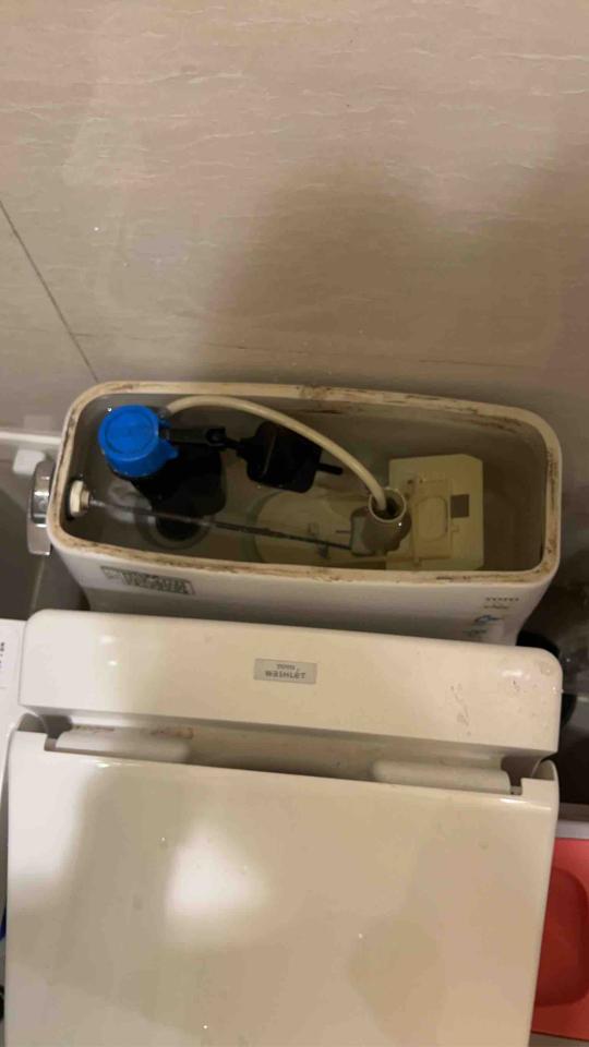 馬桶裝修案件圖片