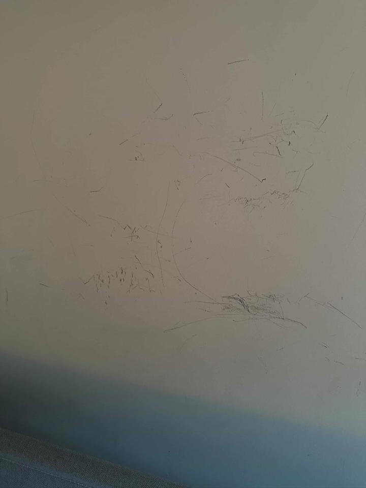 油漆工程案件圖片