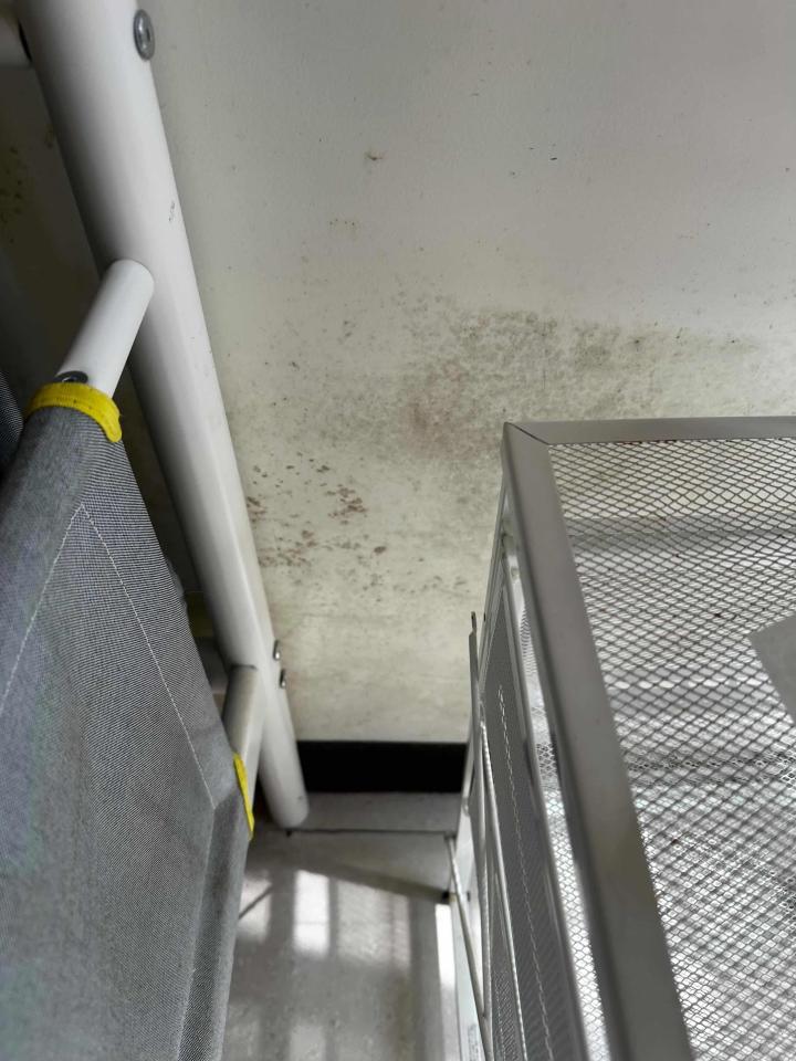 油漆工程案件圖片