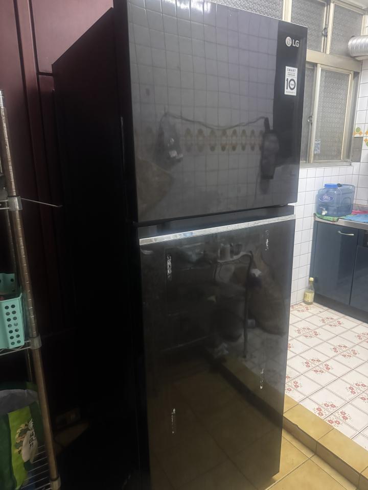 大型垃圾回收案件圖片