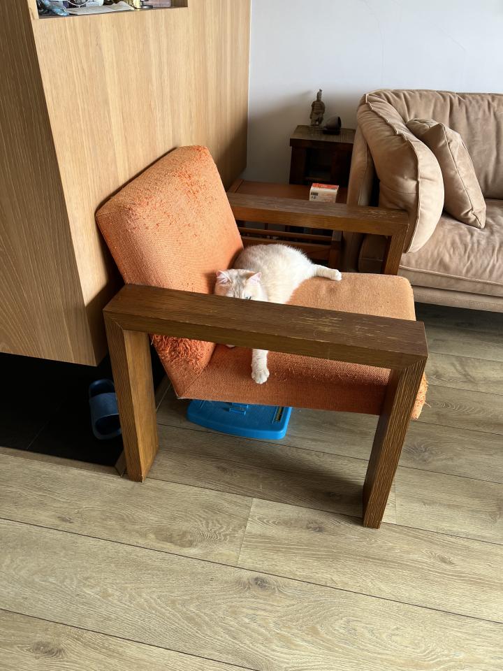 沙發修理案件圖片