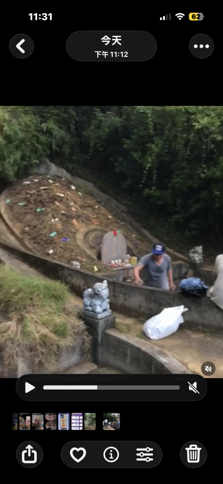 園藝維護案件圖片