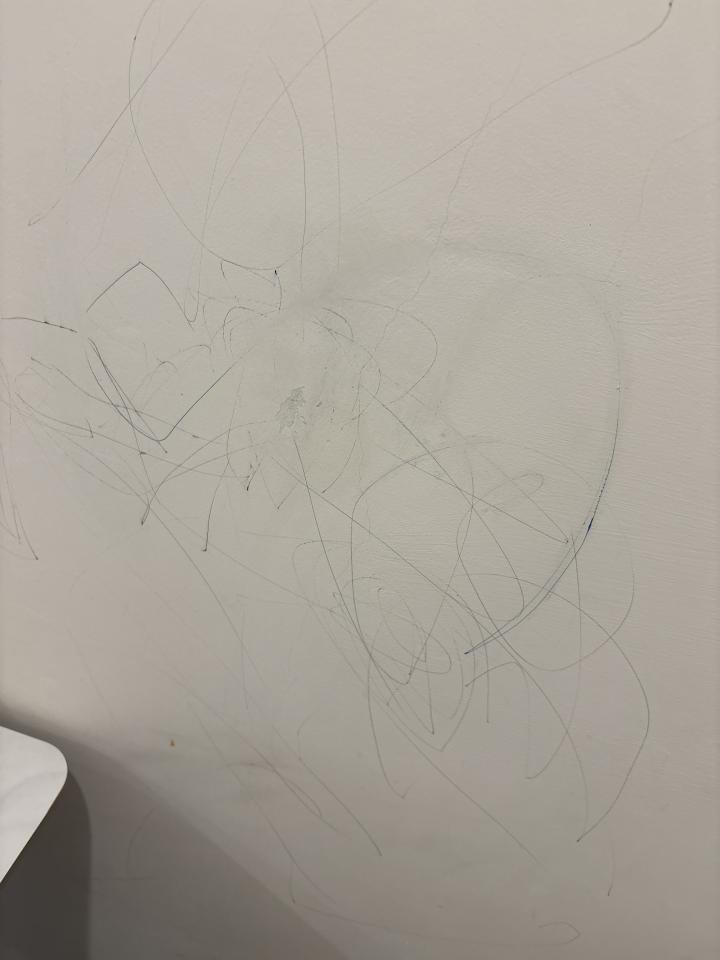 油漆工程案件圖片