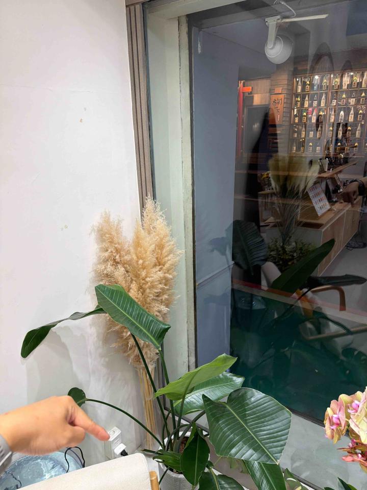 電線裝修案件圖片