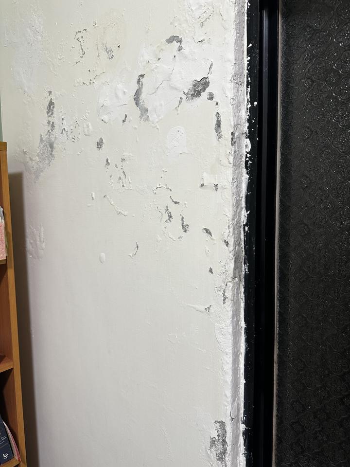 壁癌處理案件圖片