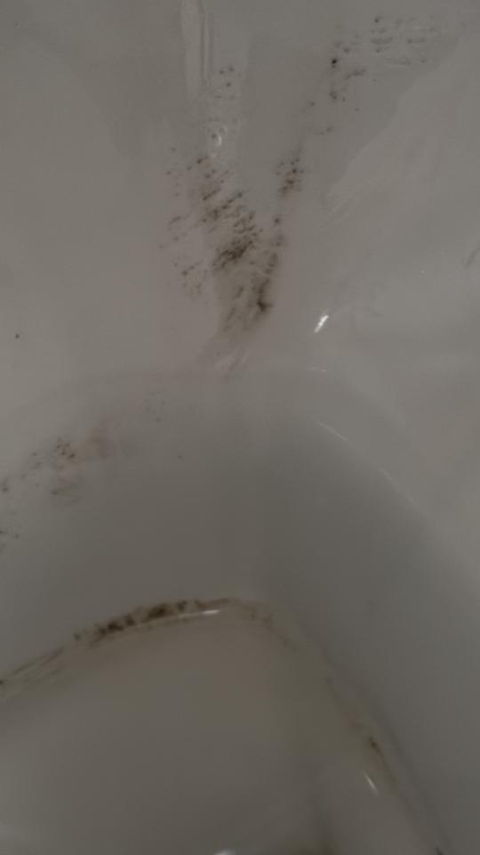 馬桶裝修案件圖片