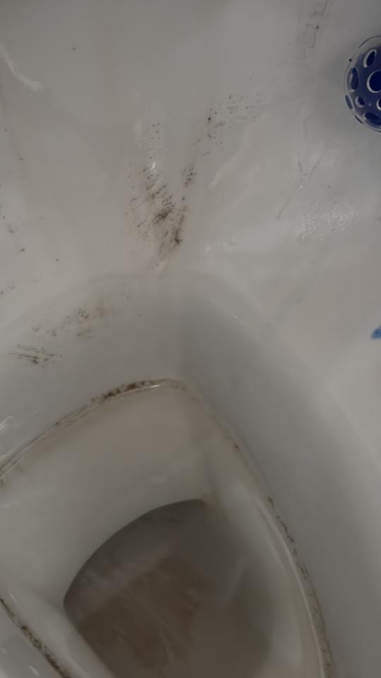 馬桶裝修案件圖片