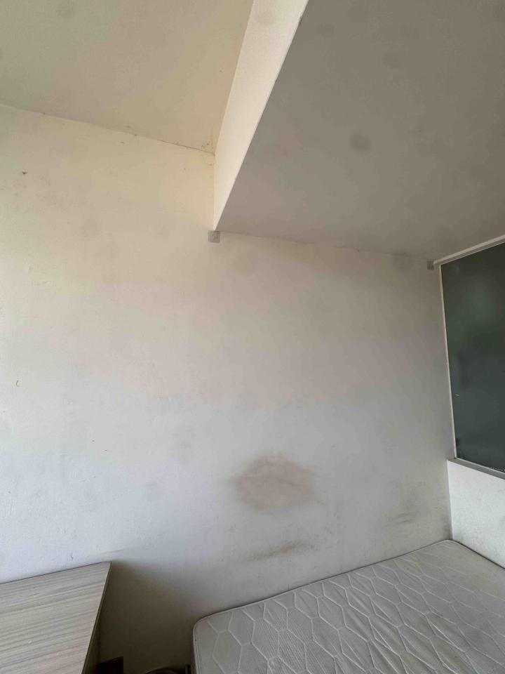 油漆工程案件圖片