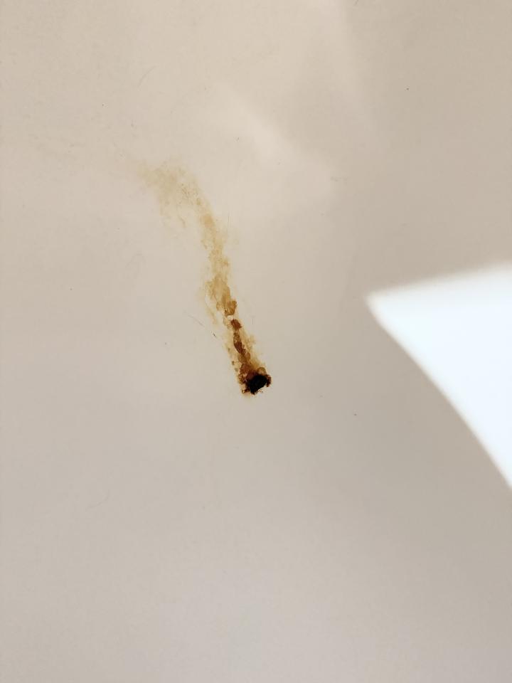 浴缸與淋浴裝修案件圖片