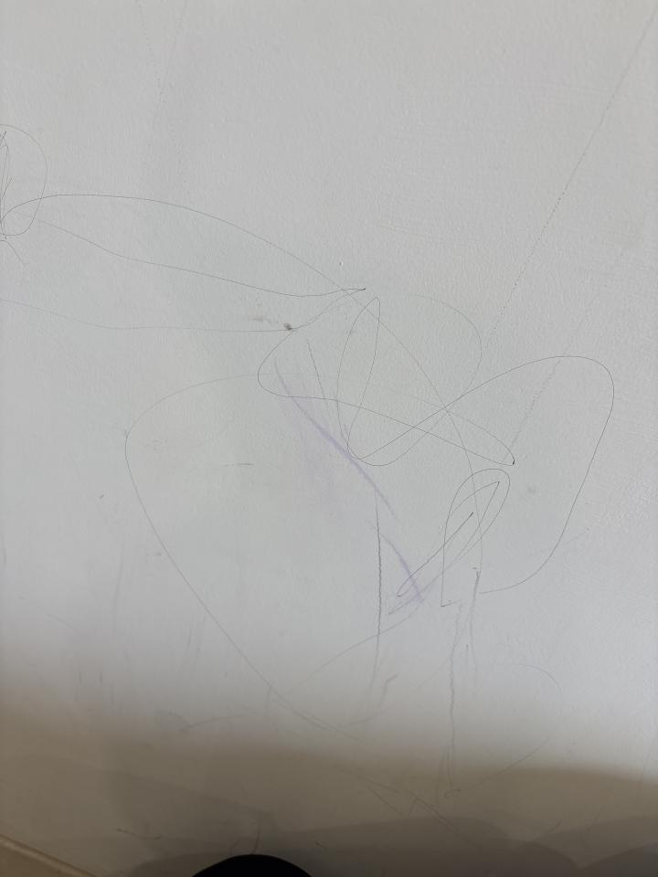 油漆工程案件圖片