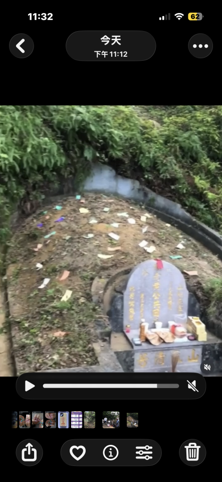 園藝維護案件圖片