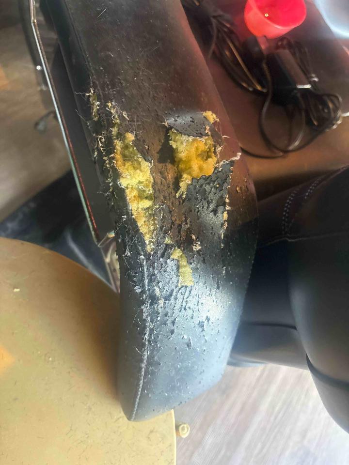 沙發修理案件圖片