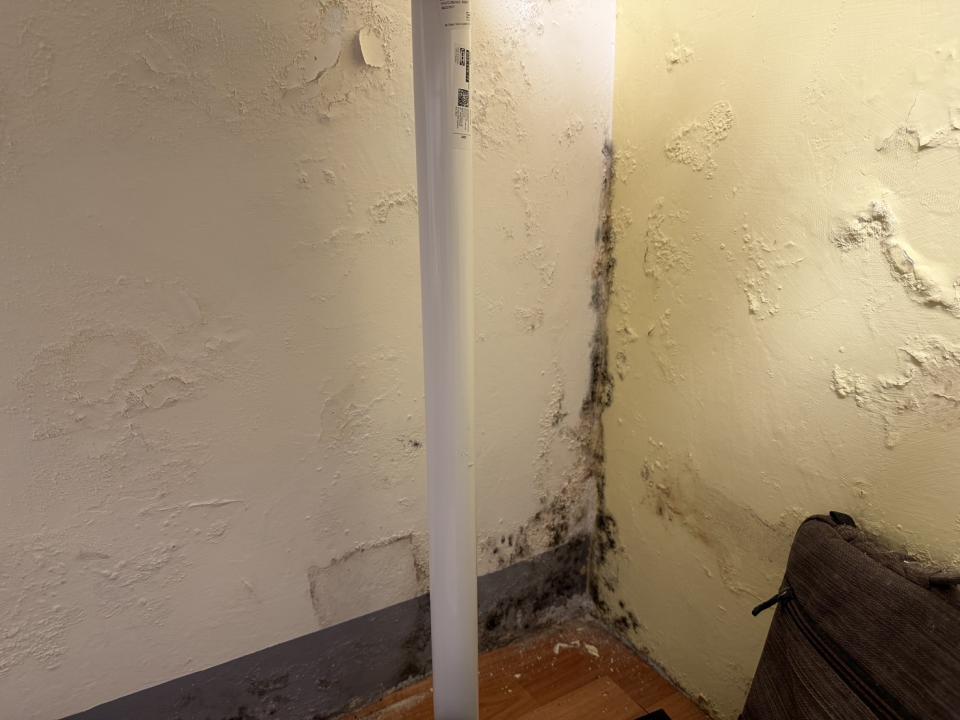 油漆工程案件圖片