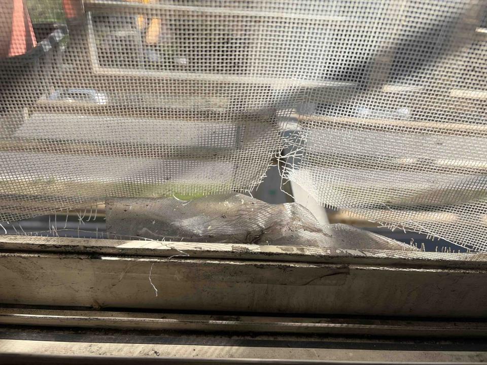 紗窗裝修案件圖片