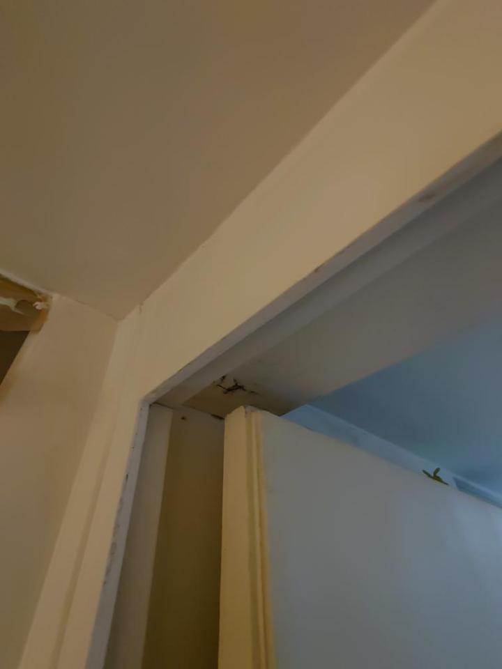 木工施工案件圖片