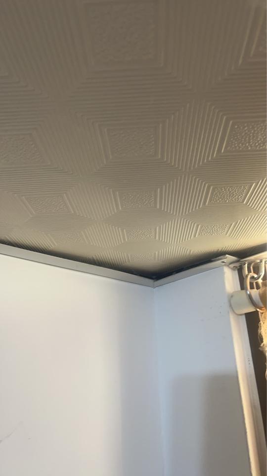天花板設計案件圖片