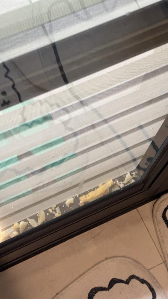 窗戶維修案件圖片