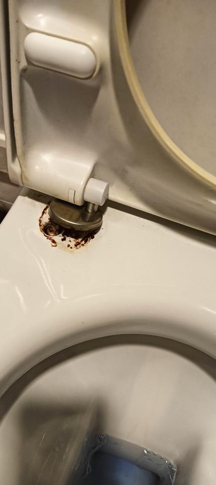 馬桶裝修案件圖片