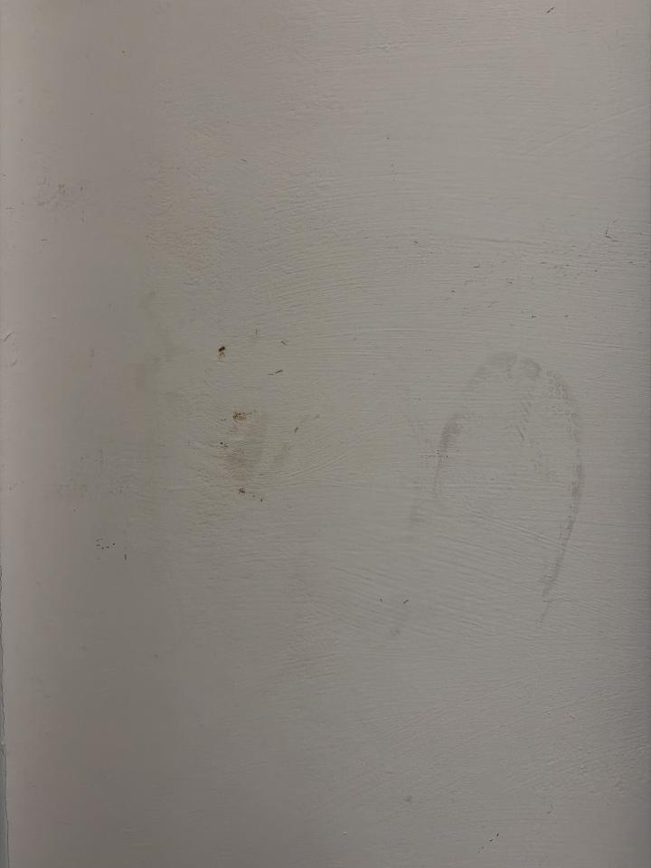 油漆工程案件圖片