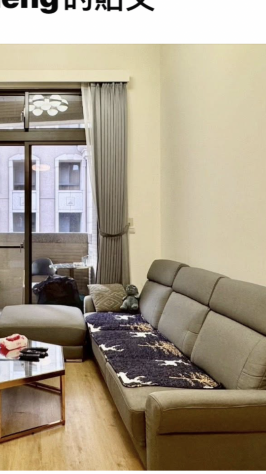 沙發清潔案件圖片