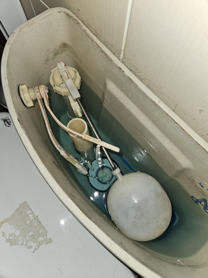 馬桶裝修案件圖片