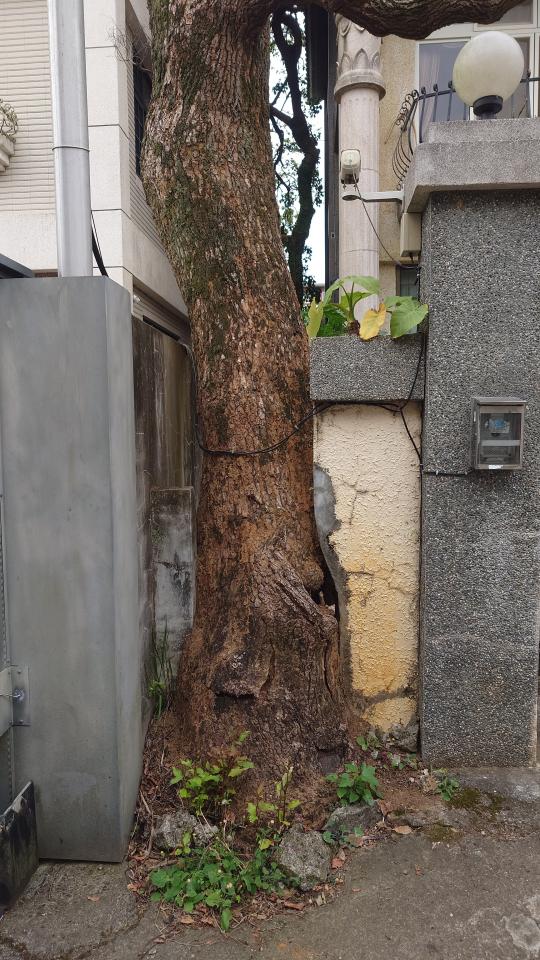 泥作/水泥施工案件圖片