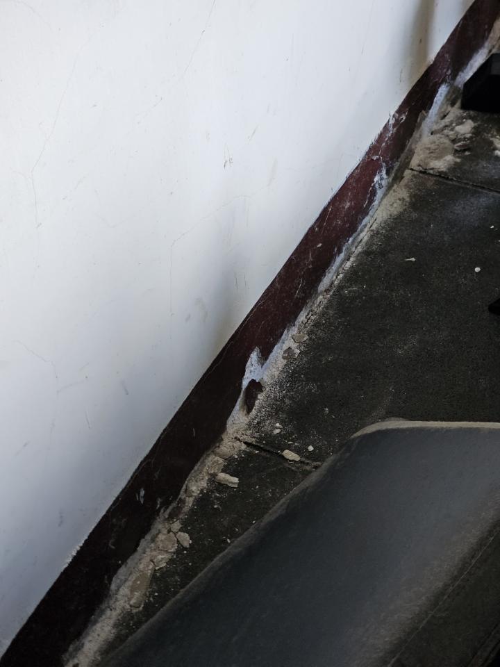 泥作/水泥施工案件圖片