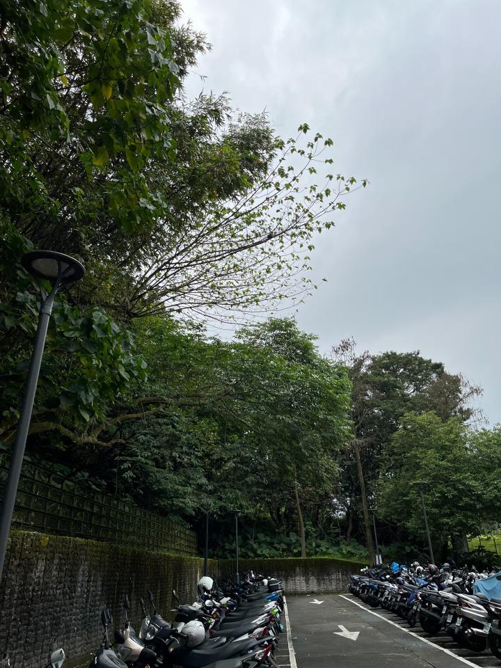 園藝維護案件圖片