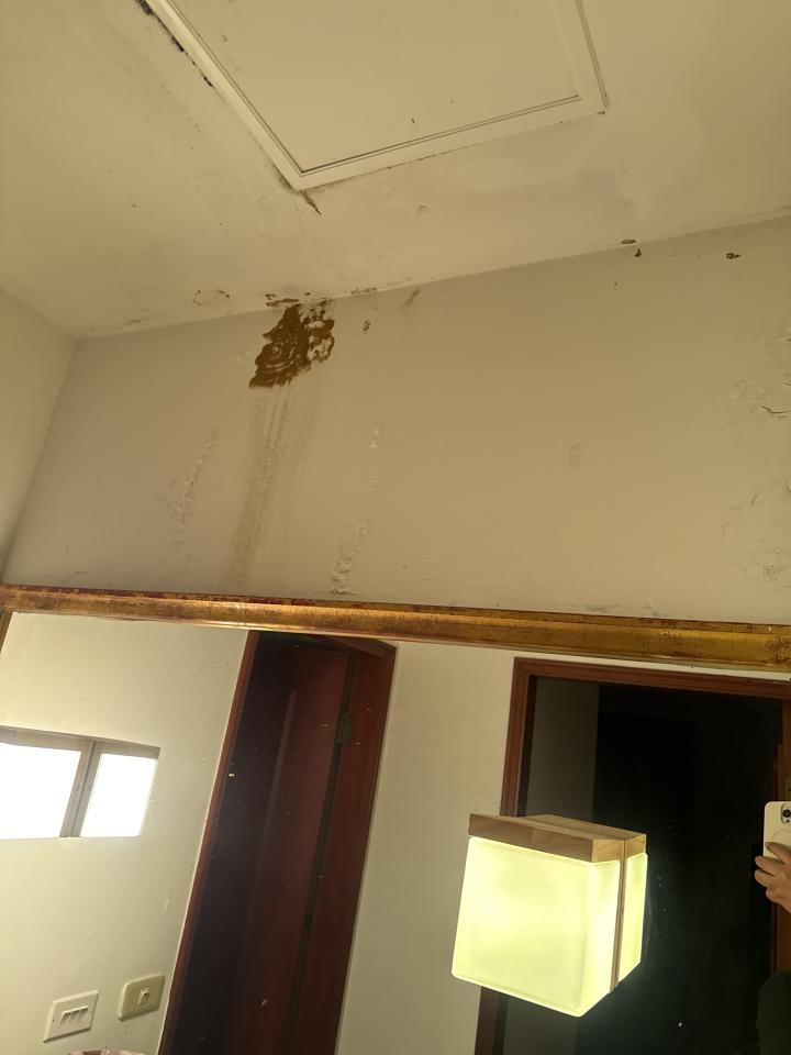 老屋翻新案件圖片