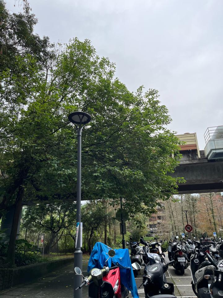 園藝維護案件圖片