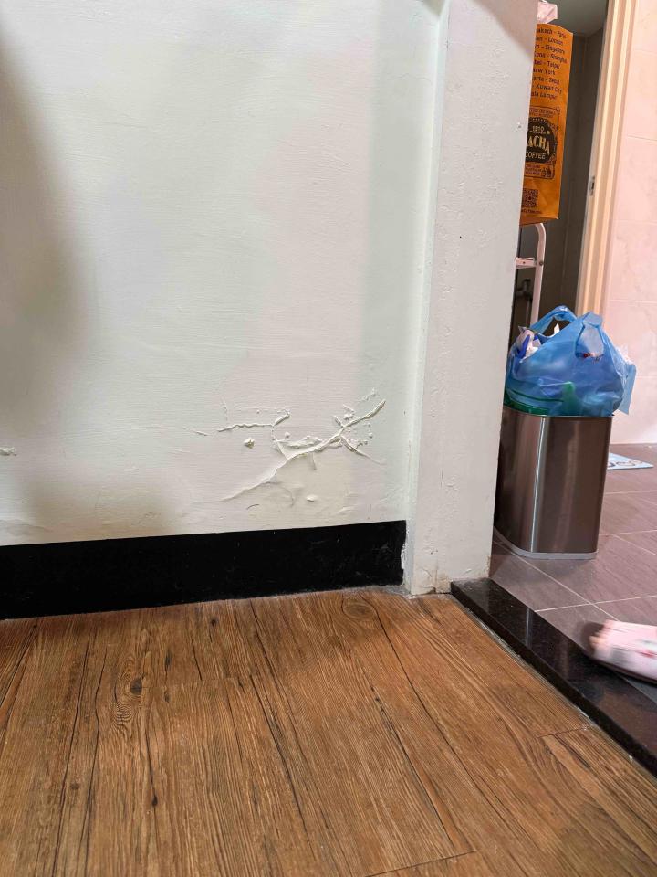 壁癌處理案件圖片