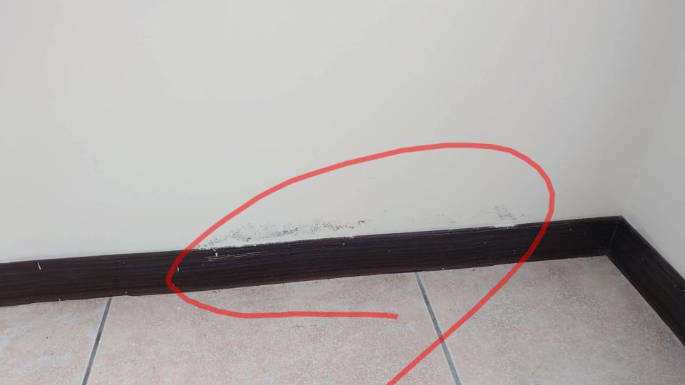 油漆工程案件圖片