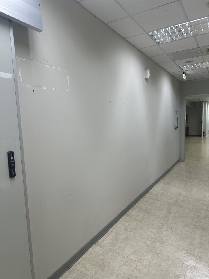 壁紙施工案件圖片