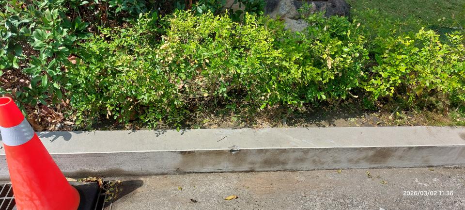 泥作/水泥施工案件圖片