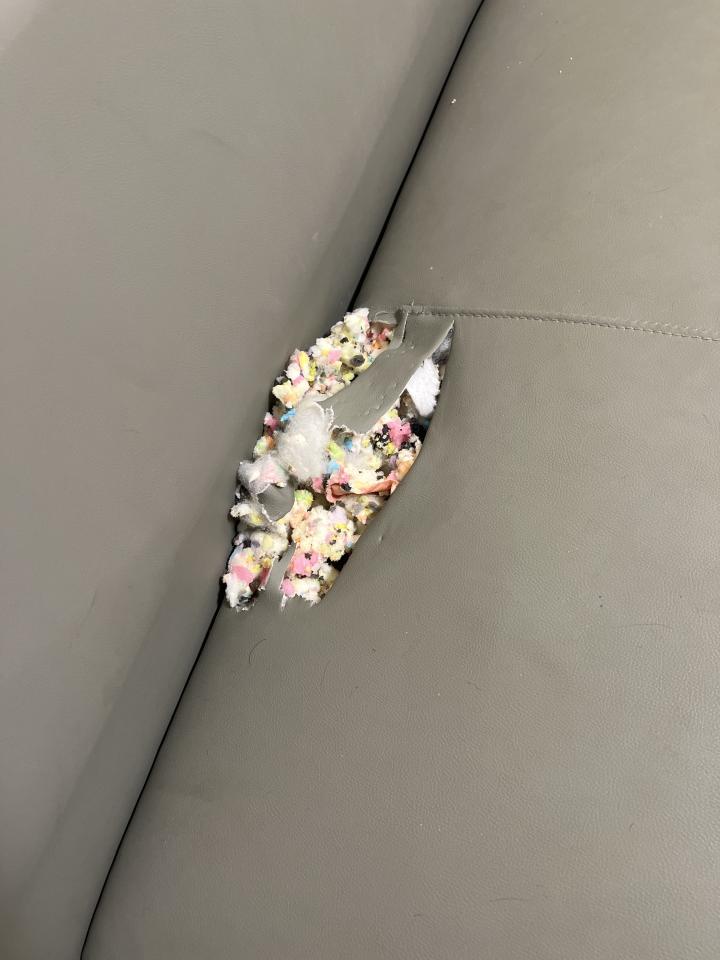 沙發修理案件圖片