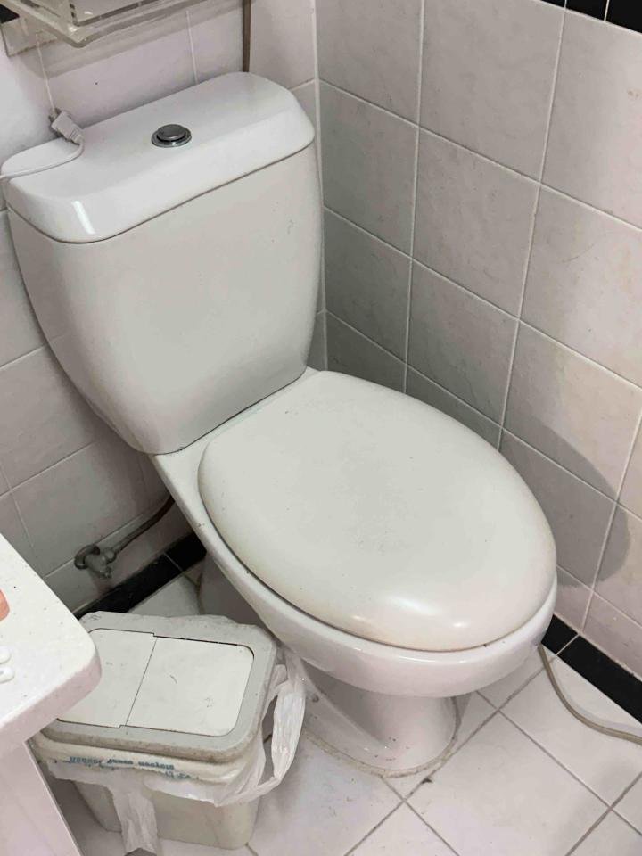 馬桶裝修案件圖片