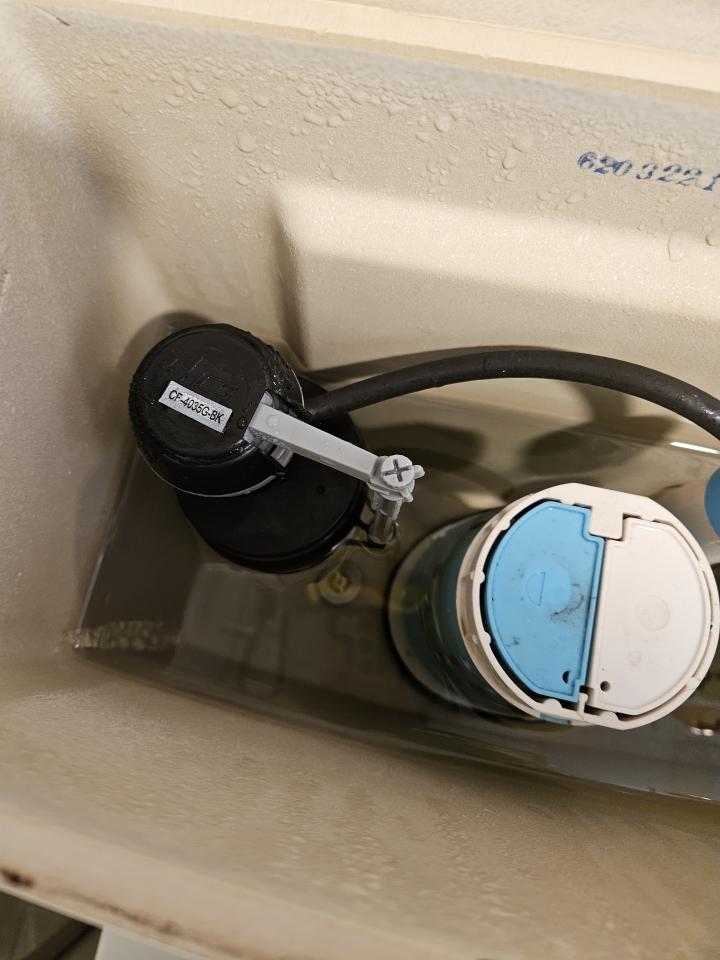 馬桶裝修案件圖片