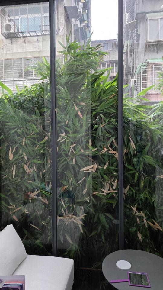 園藝維護案件圖片