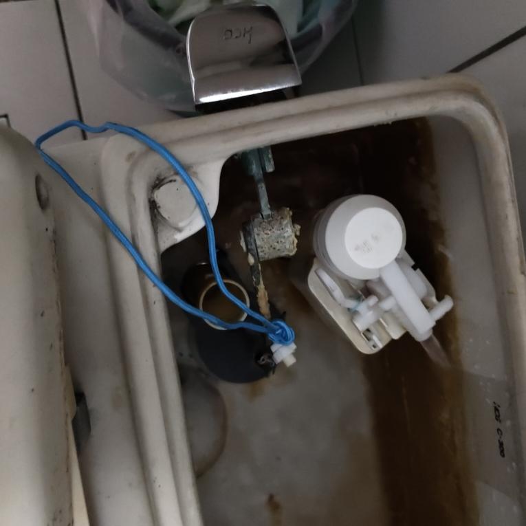 馬桶裝修案件圖片