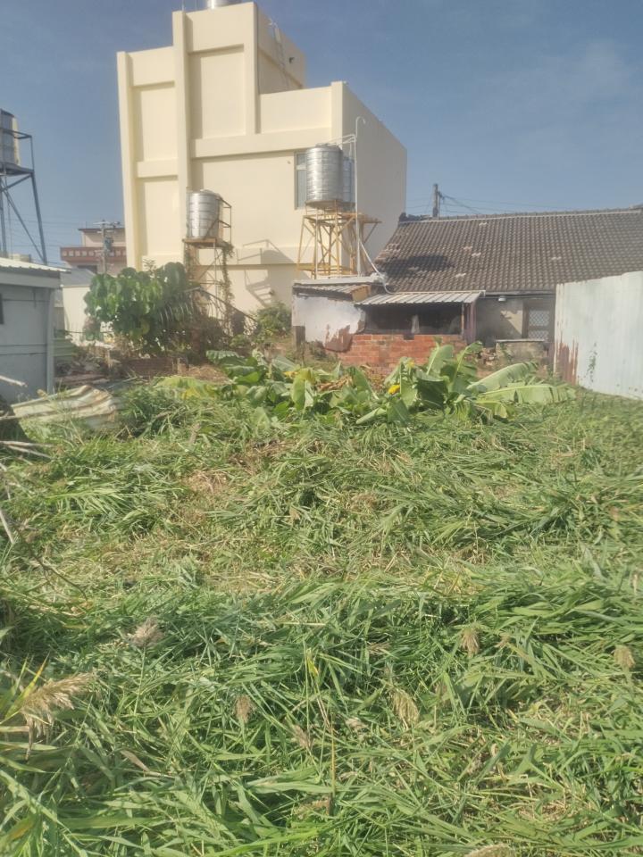 園藝維護案件圖片