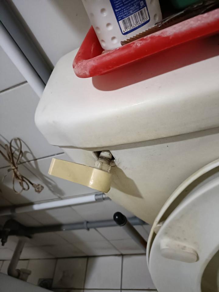 馬桶裝修案件圖片