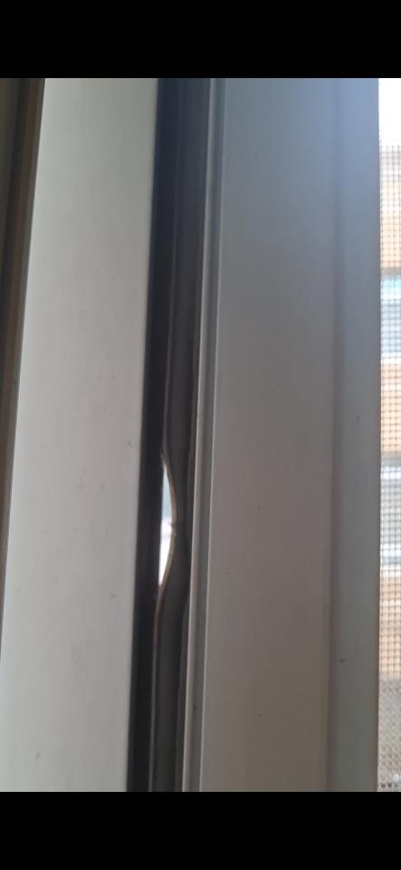 紗窗裝修案件圖片